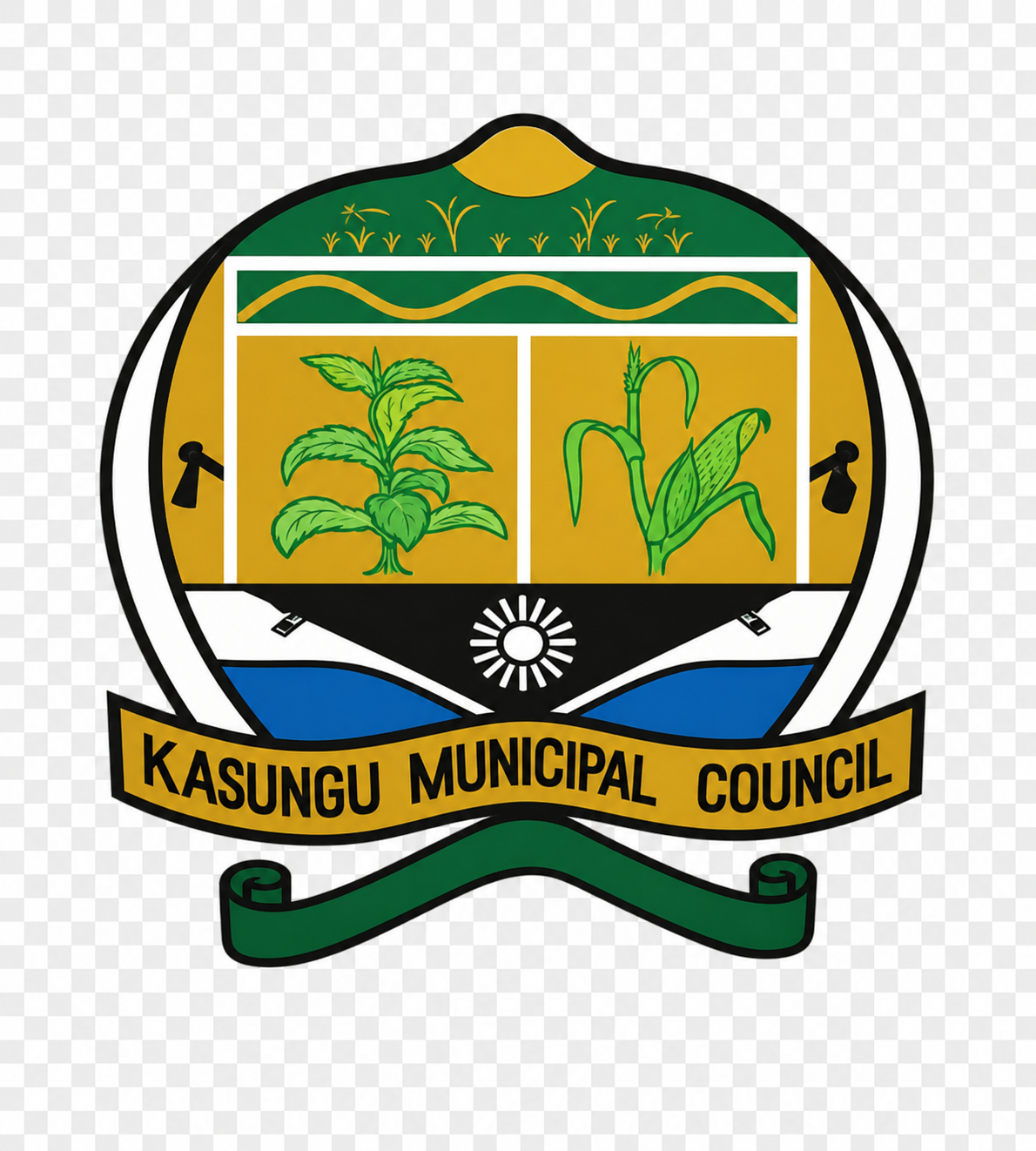 Kasungu Municipal Council
